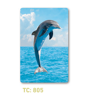 Calendario Tarjeta Crédito