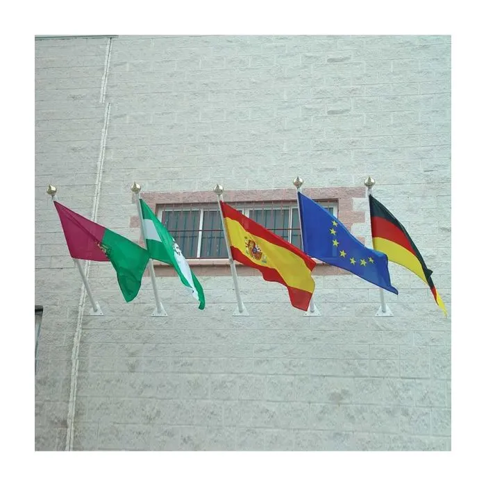 Bandera con mástil de pared personalizada
