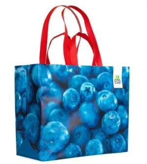 BOLSA  NO TEJIDO CON FUELLE Y ASAS NO  TEJIDO
