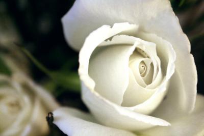 Protocolos al detalle y máxima elegancia